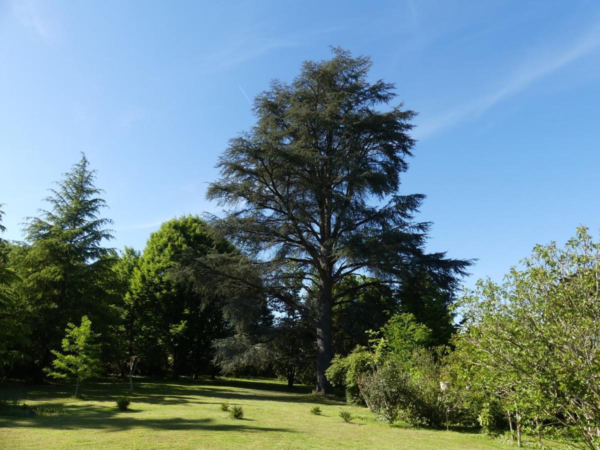 Le Petit Chateau - Adults Only Property Le Bugue Εξωτερικό φωτογραφία
